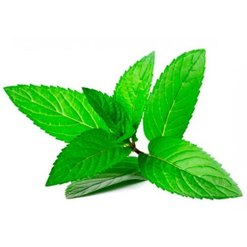 Peppermint oil in cream zxcvbnmqwort